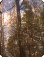 Весна_2010